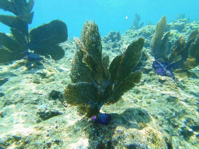 Southpoint Divers: 1-Day Discover Scuba Diving Course - The Sum Up