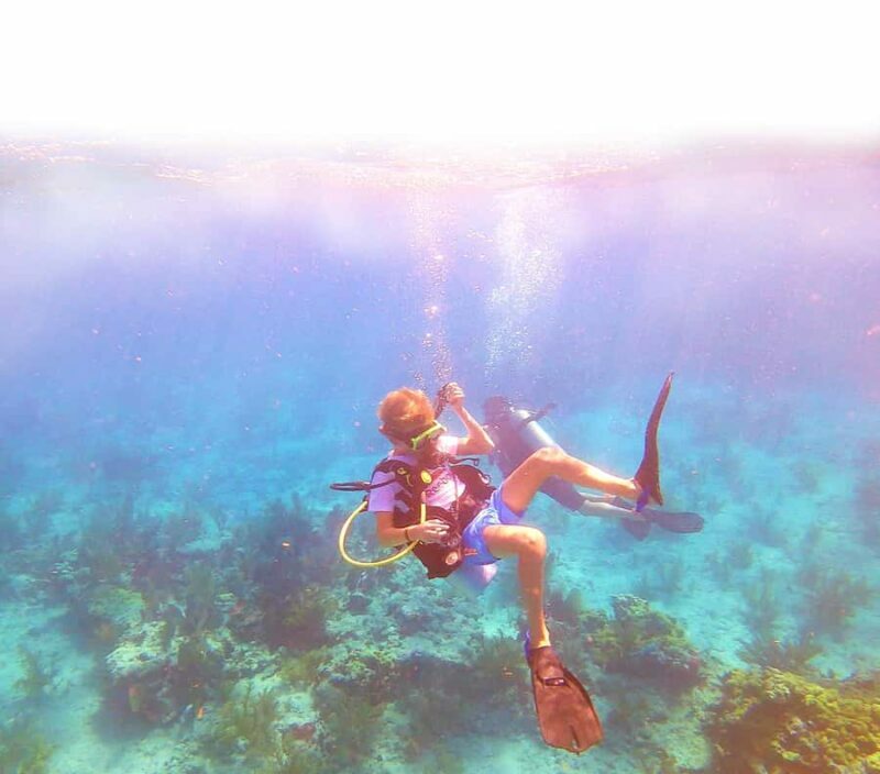 Southpoint Divers: Afternoon Reef Dive Trip - An In-Depth Look at the Southpoint Divers Reef Trip