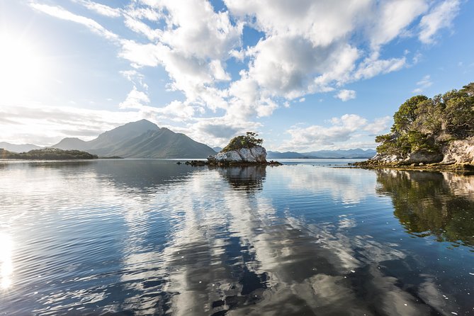 Southwest Tasmania Wilderness Experience: Fly Cruise and Walk Including Lunch - Taking in the Wilderness Ecosystem