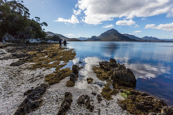 Southwest Tasmania Wilderness Experience: Fly Cruise and Walk Including Lunch - Enjoying a Gourmet Lunch Break