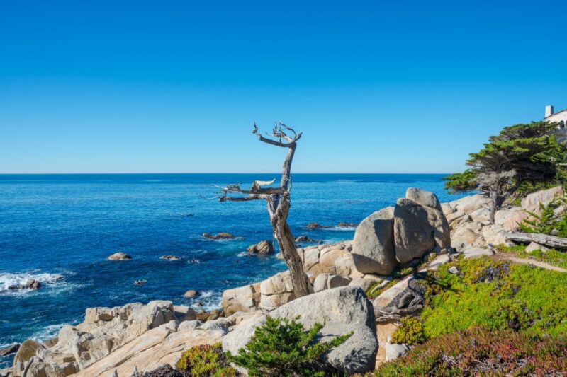 Southwest USA: 35+Tour Bundle on Self-Guided Driving App - Experience and Itinerary