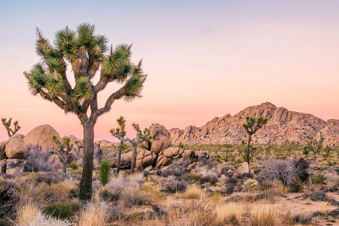 Southwest USA Discovery: Ultimate Self-Guided Road Trip Bundle - Flexible and Personalized Exploration