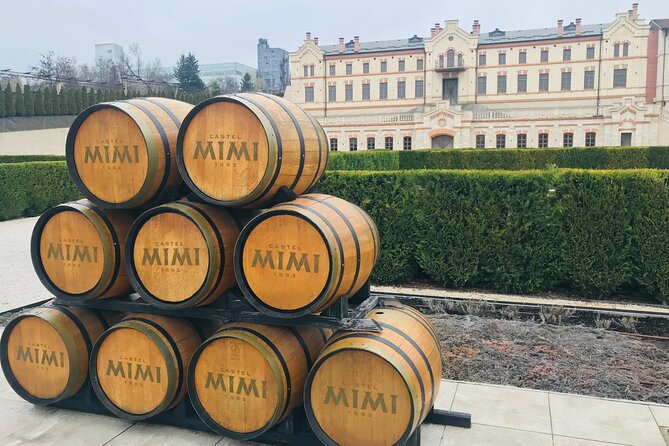 Soviet Heritage of Transnistria and Castle Mimi Winery - Reviews