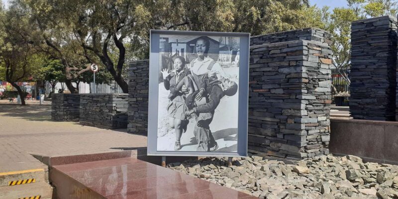 Soweto and Apartheid Museum Tour(Half-Day) - Cultural and Community Aspects