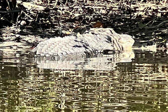Space Coast Manatee & Coastal Wildlife Kayak Tour - Additional Details