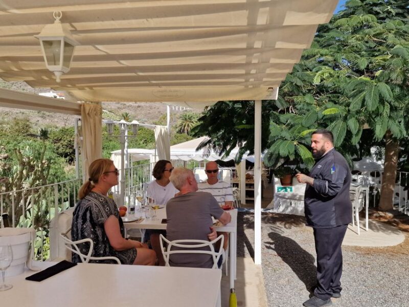 Spanish Cured Meats & Wine Tasting Tour in Mogan - Key Points