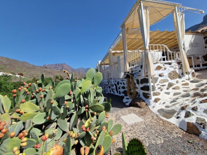 Spanish Cured Meats & Wine Tasting Tour in Mogan - Famous Spanish Jam Tasting