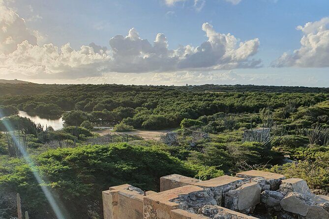 Spanish Lagoon Mangrove Trail & Bird Watching - Is This Tour Worth the Price?
