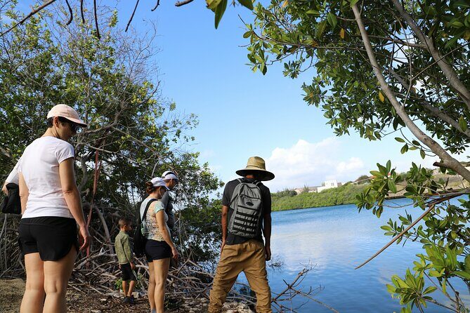 Spanish Lagoon Mangrove Trail & Bird Watching - FAQs
