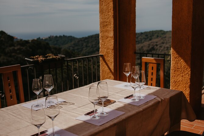 Spanish Wine Tasting in the Costa Brava - Tasting Menu and Pairing