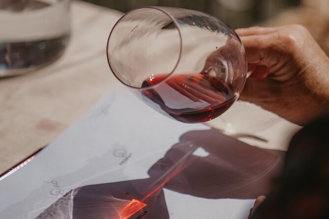 Spanish Wine Tasting in the Costa Brava - Exploring Spains Wine Regions