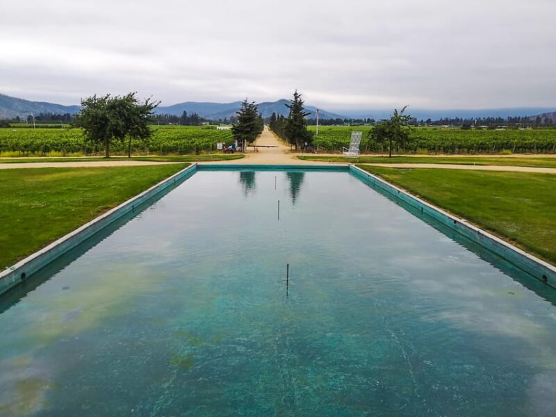Sparkling Wine Tour and Premium Tasting + Private Transport - Highlights