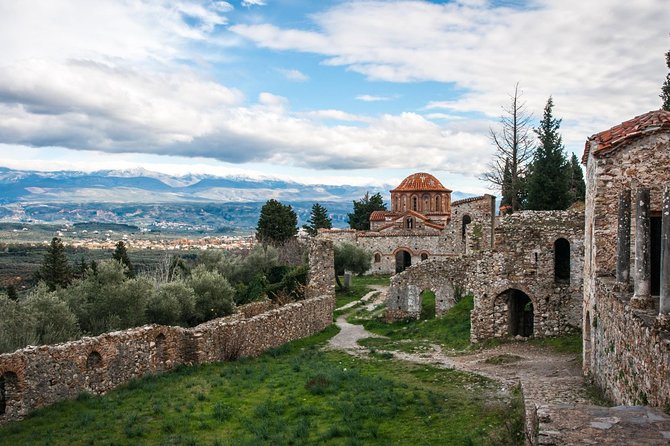 Sparta Tour - Olive Museum Experience