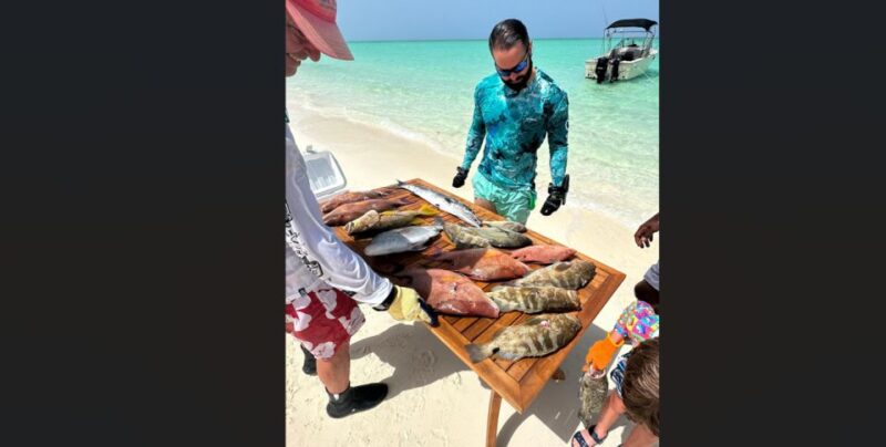 Spear-Fishing Bahamas - Experience and Highlights