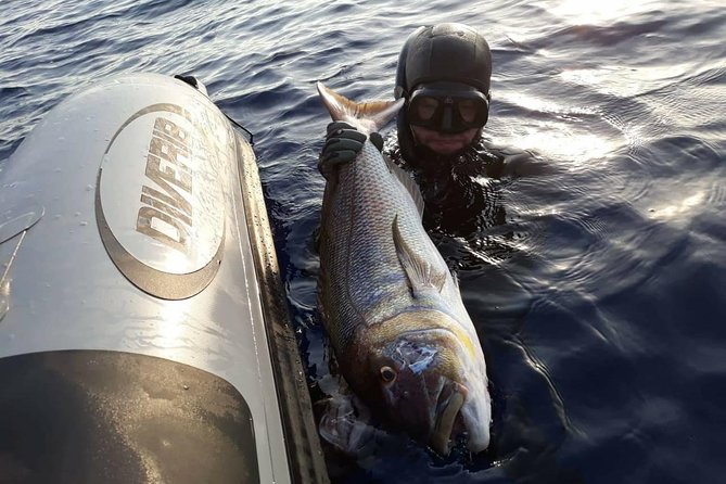 Spearfishing in Chania, Crete (Price Is per Group) - Reservation and Cancellation