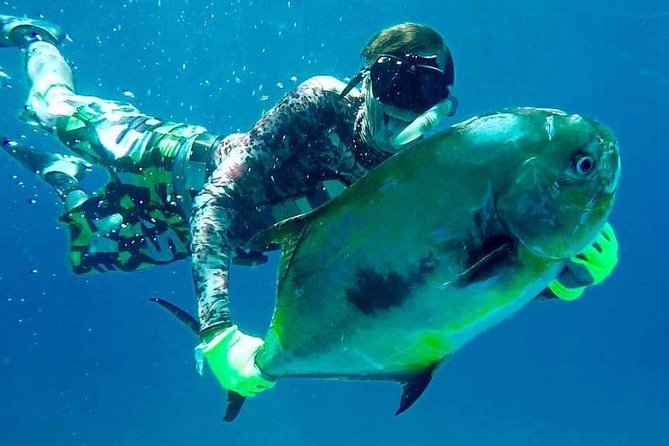 Spearfishing in Tulum or Playa Del Carmen - Included Equipment and Amenities