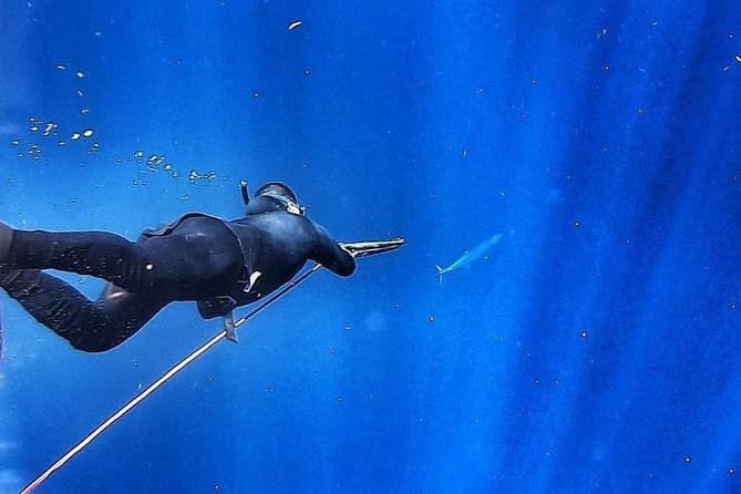 Spearfishing in Tulum or Playa Del Carmen - Reviews and Feedback