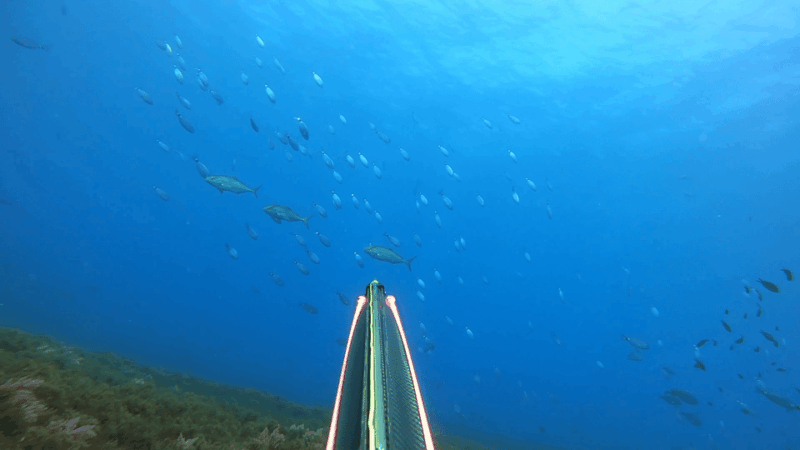 Spearfishing Trip on Private Yacht - Onboard Amenities
