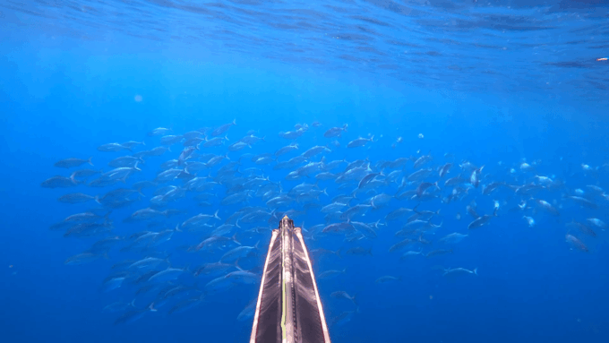 Spearfishing Trip on Private Yacht - Booking and Cancellation Policy