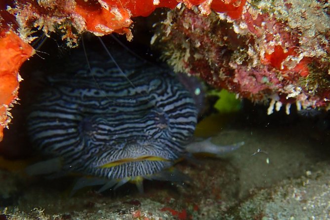 Special!! 2 Tank Wreck & Drift Reef Dives - What to Bring