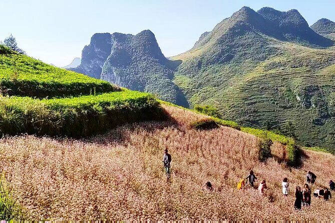 Special 3 days 2 nights Ha Giang Loop with Easy Rider - Final Thoughts