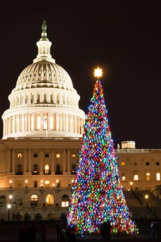 Special Christmas Tour in Washington - Key Points