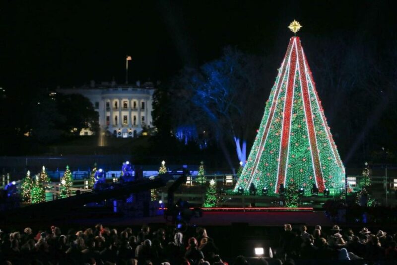 Special Christmas Tour in Washington - Festive Atmosphere