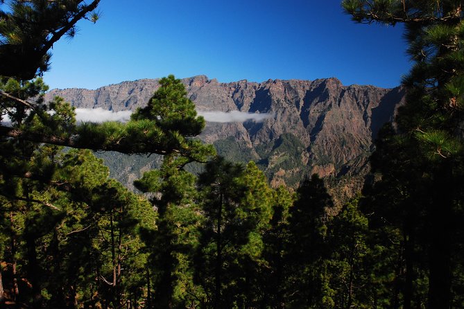 Special Cruise Tour Center and South La Palma (Price per Car Not per Person) - Inclusions