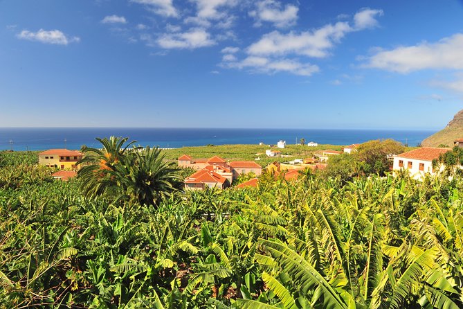 Special Cruise Tour Center and South La Palma (Price per Car Not per Person) - Accessibility