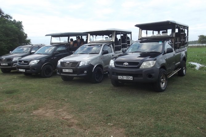 Special Leopards Safari - Yala National Park - 04.30 Am to 11.30 Am - Inclusions and Logistics