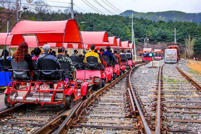 Special Private Tour Nami Island, Rail Bike, Petite France - Highlights of Nami Island