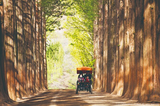 Special Private Tour Nami Island, Rail Bike, Petite France - Experience the Rail Bike