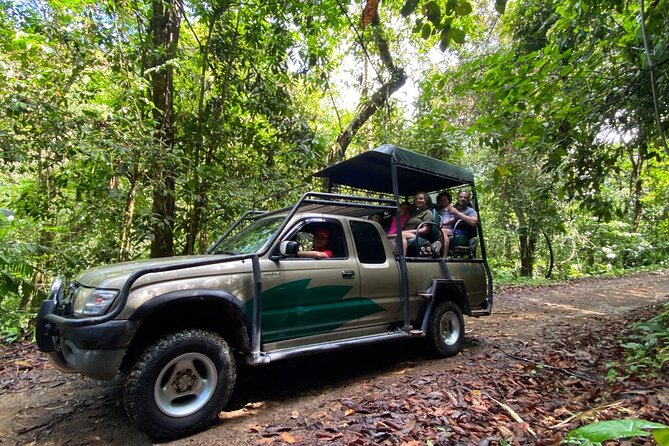 Special Private Waterfalls and Jungle Safari Tour - Tour Overview and Highlights
