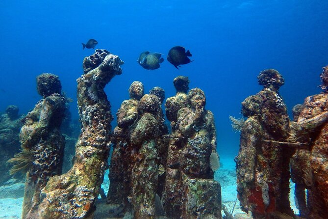 SPECIAL! Snorkel at MUSA - The Underwater Museum Reservation - Customer Feedback and Reviews