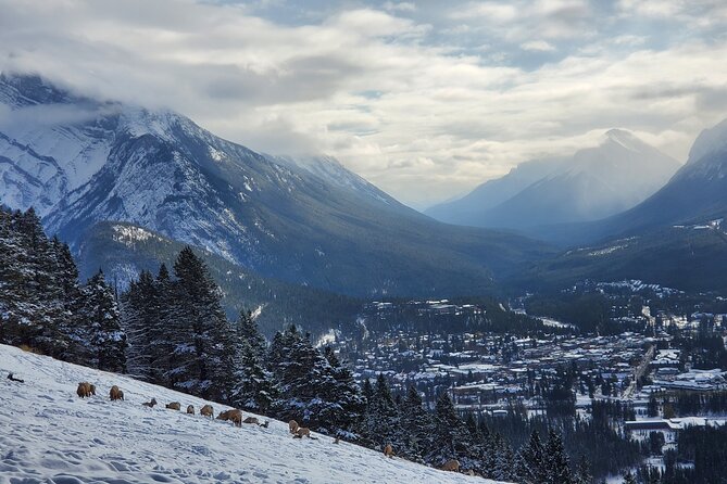 Spectacular Banff Day Trip - Highlights of Banff National Park