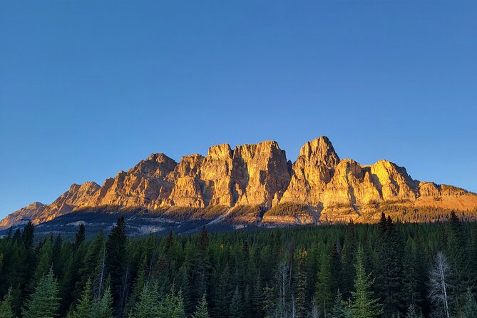 Spectacular Banff Day Trip - Knowledgeable Tour Guide