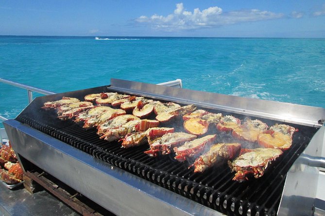 Spectacular Catamaran Trip to Ile Aux Cerf Incl: Undersea Walk, Lunch & GRSE - Essential Tips