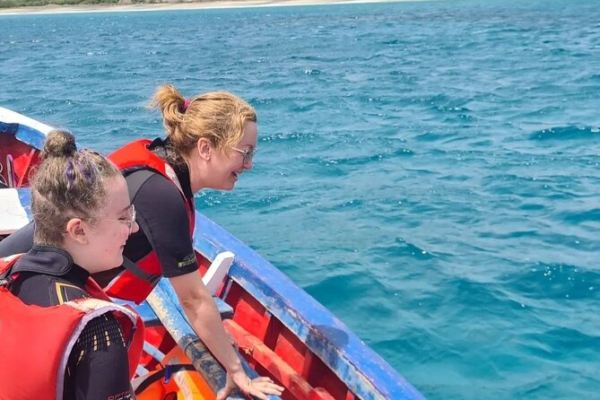 Spectacular Experience With Sea Turtles - Booking and Confirmation