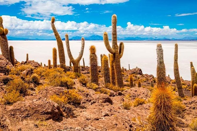 Spectacular Sunset and Stargazing in the Uyuni Salt Flat - Booking and Reservation Details