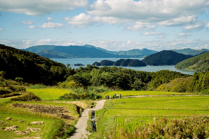 Spectacular Terraced Rice Field Walking Experience - Health and Accessibility