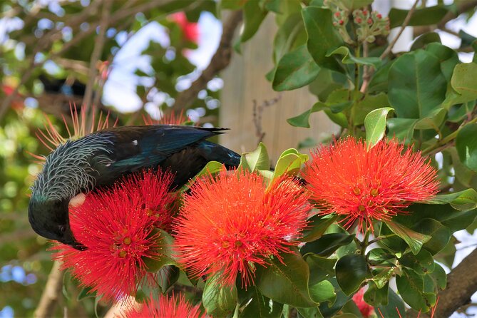 Spectacular Wellington: Full Day Private Sightseeing Tour - Customer Experiences