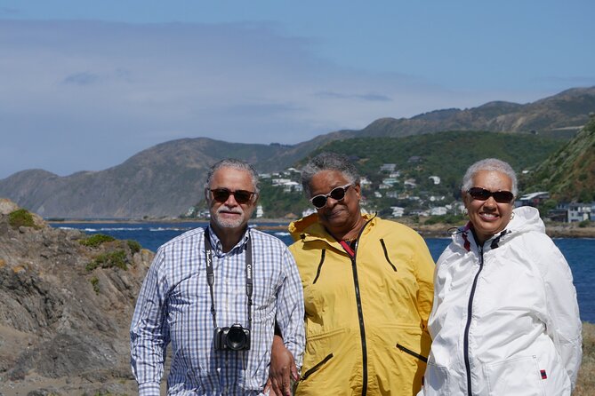 Spectacular Wellington: Half Day Private Sightseeing Tour - Professional and Knowledgeable Guides
