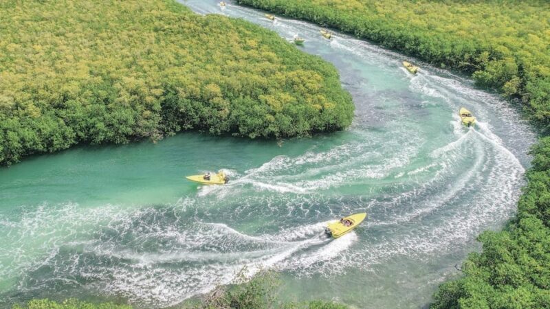 Speed Boat & Snorkel, Jungle Adventure in Cancun - Adventure Itinerary