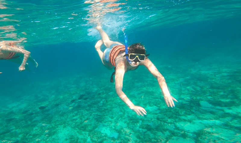 Speed Boat & Snorkel, Jungle Adventure in Cancun - Snorkeling Adventure