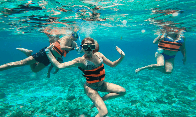 Speed Boat & Snorkel, Jungle Adventure in Cancun - Ecosystem Exploration