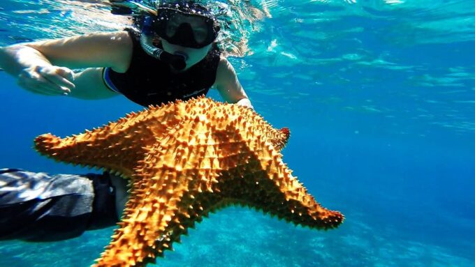 Speed Boat & Snorkel, Jungle Adventure in Cancun - Customer Feedback