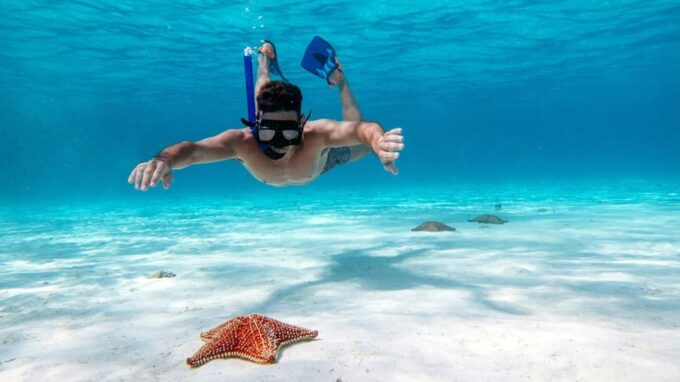 Speed Boat & Snorkel, Jungle Adventure in Cancun - Important Information