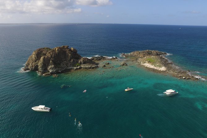 Speed Boat & Snorkeling Tour Pinel & Tintamarre Islands for CRUISE SHIP GUESTS - Itinerary Highlights