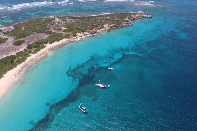 Speed Boat & Snorkeling Tour Pinel & Tintamarre Islands for CRUISE SHIP GUESTS - Guest Reviews