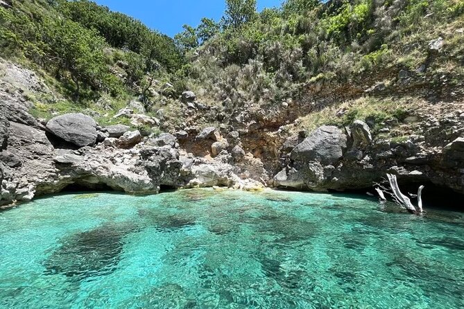 Speed Boat Tour to National Park and Grama Bay - Highlights